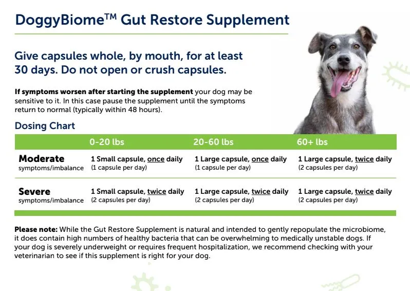 AnimalBiome - FMT for DOGS - DoggyBiome™ Gut Restore Supplement