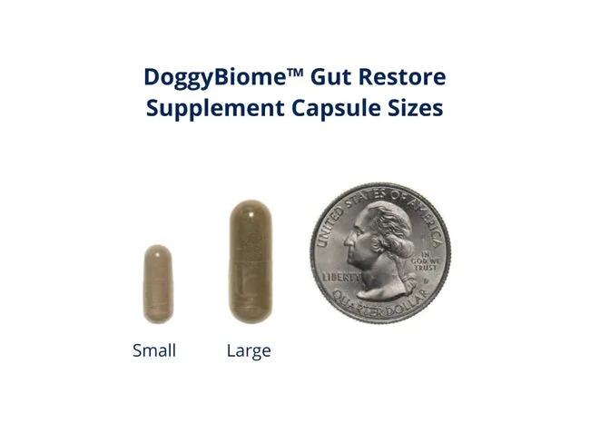 AnimalBiome - FMT for DOGS - DoggyBiome™ Gut Restore Supplement