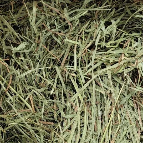 Blue Mountain Hay High-Altitude Timothy Hay