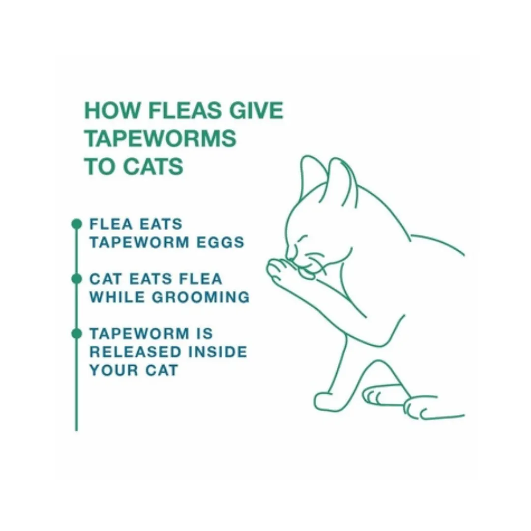 Elanco Tapeworm Dewormer Tablets for Cats & Kitten