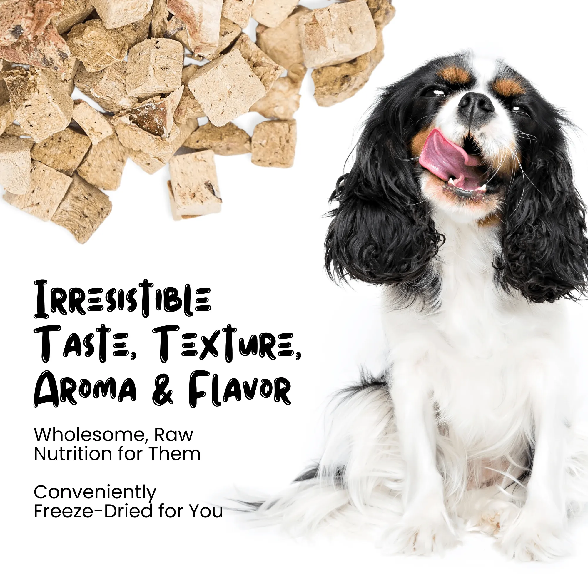 Freeze Dried Lamb Liver Treats for Cats & Dogs