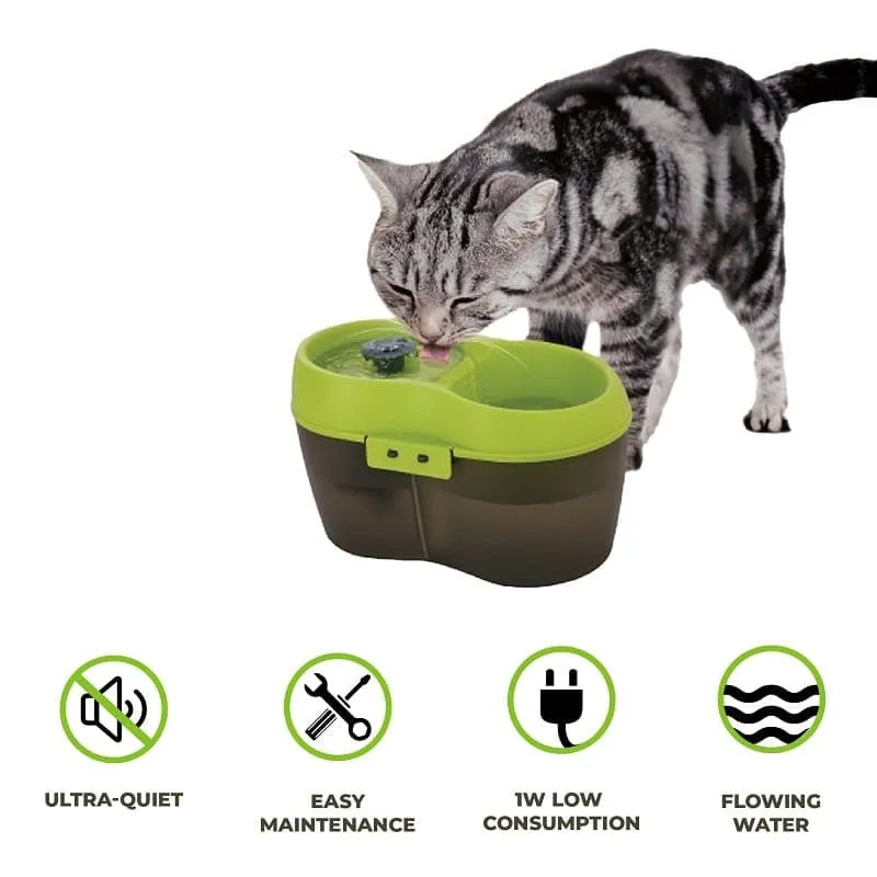 Goofy Tails Cat H2O - 2 Litre Automatic Pet Water Fountain Filter for Cats and Kitten (Green, Black)