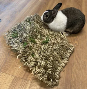 Hide & Seek Mat