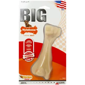 Nylabone BIG Chews - Beef Bone