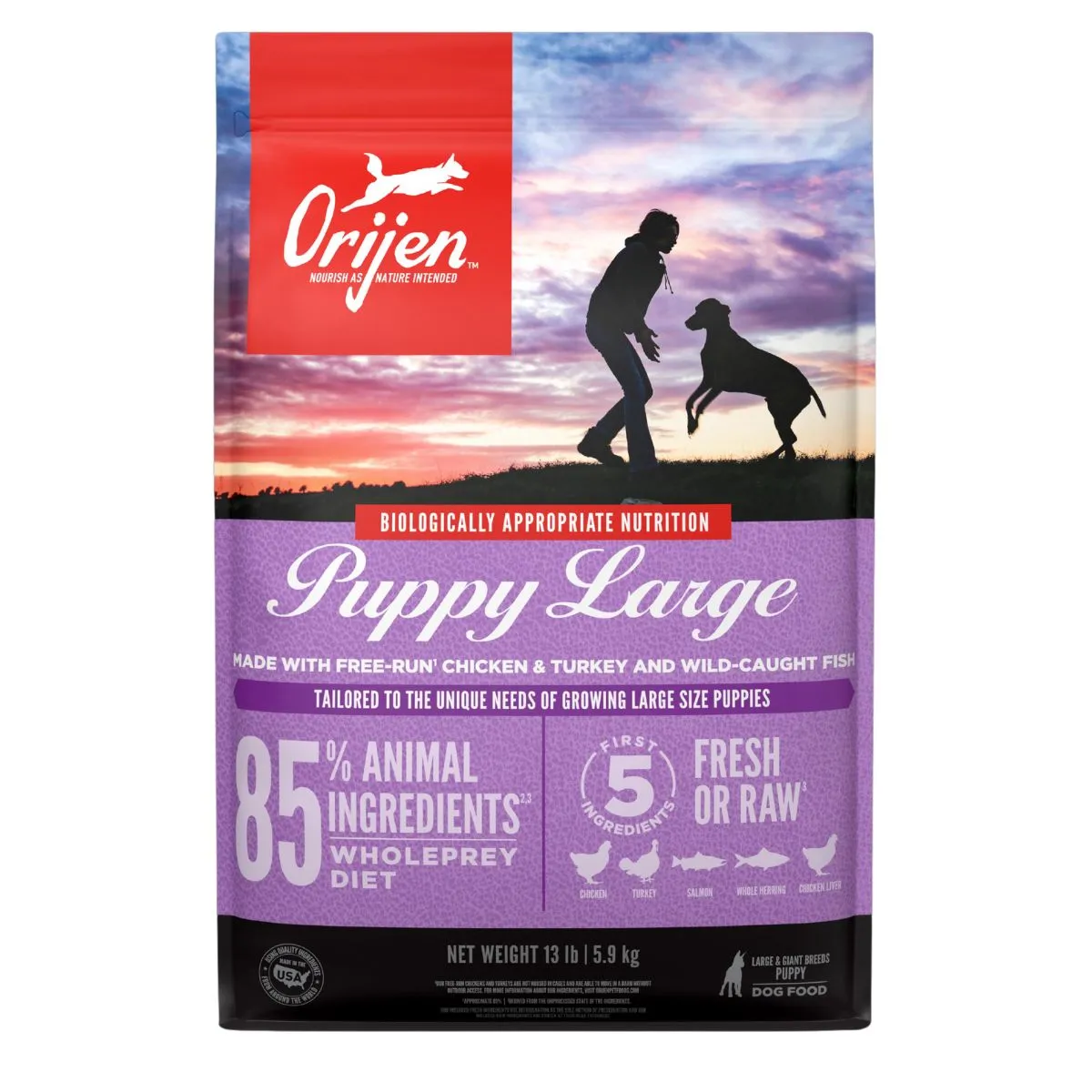 Orijen Chicken & Turkey Large Breed Puppy Dry Dog Food 13lb