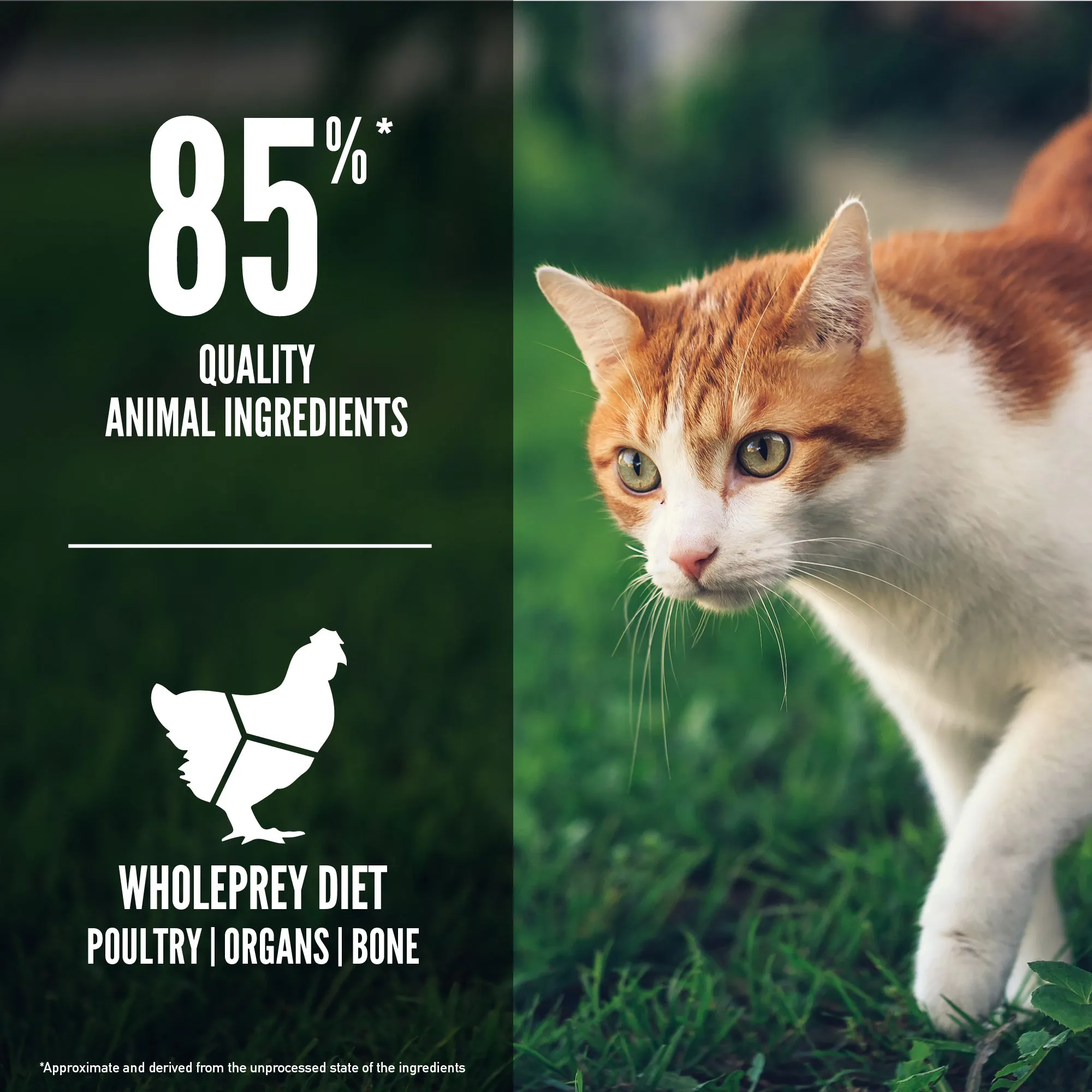 ORIJEN Fit and Trim Biologically Appropriate Dry Cat Food 3.17kg^^^