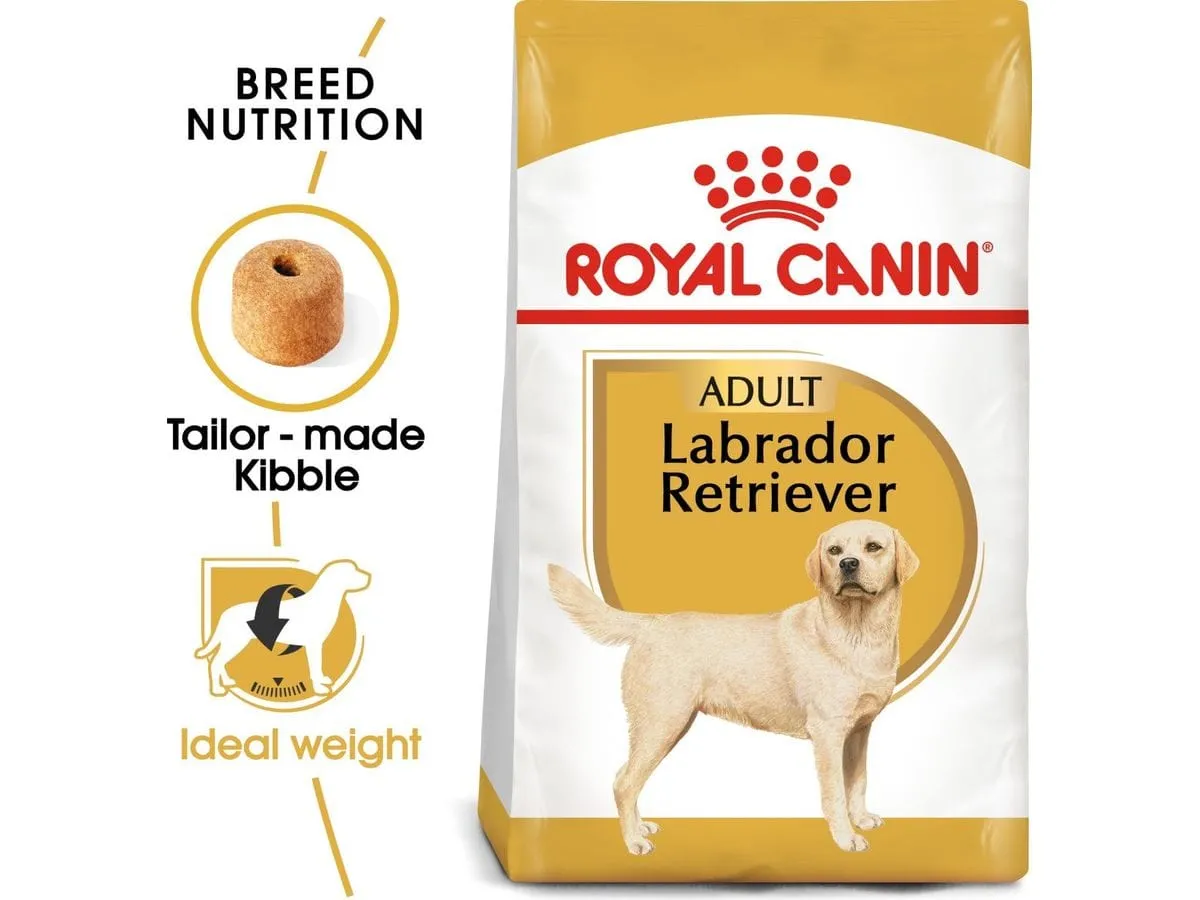 Royal Canine breed health nutrition labrador adult 12 kg