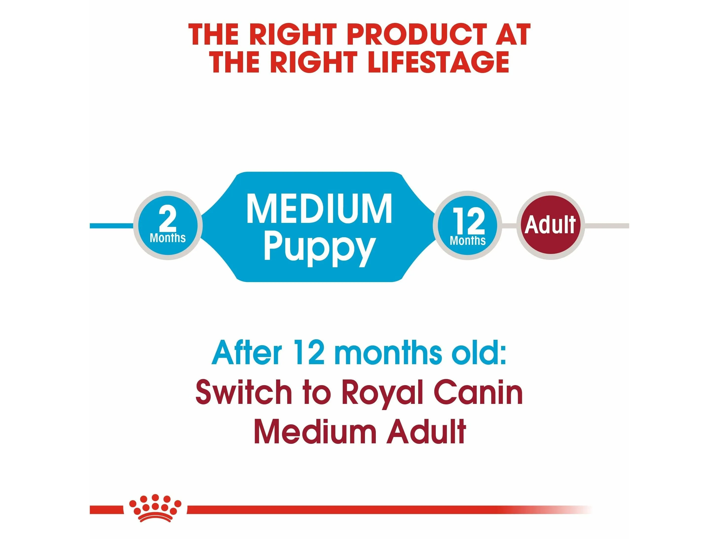 Size Health Nutrition Medium Puppy 10 KG