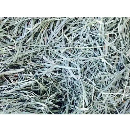 Small Pet Select Perfect Blend Timothy Hay 5lb