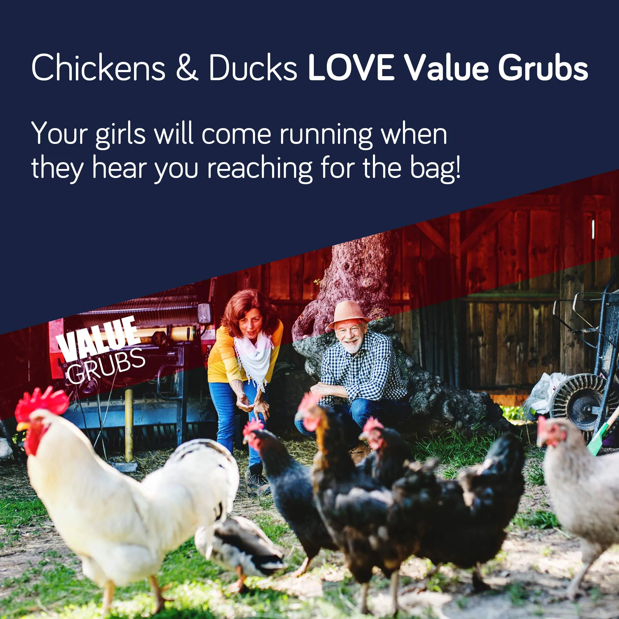 Value Grubs 4 Lbs - Better Than Dried Mealworms For Chickens - Non-Gmo - 75X More Calcium