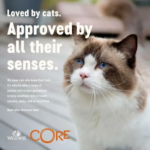 Wellness CORE Adult Cat Wet Food Multipack Signature Selects Shredded Selection 8 x 79g